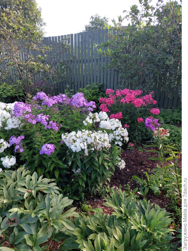 Вечером. Гренадин в группе.