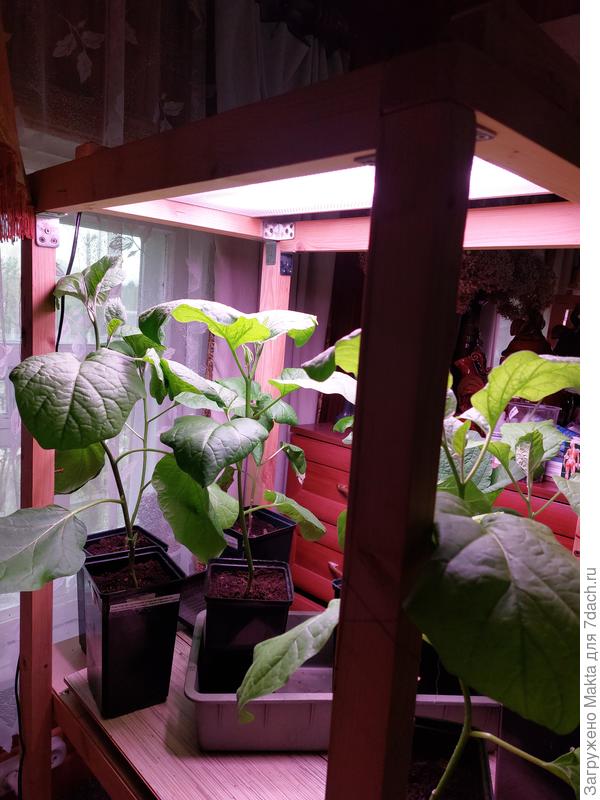 Тут часть, остальные в гостевом домике.