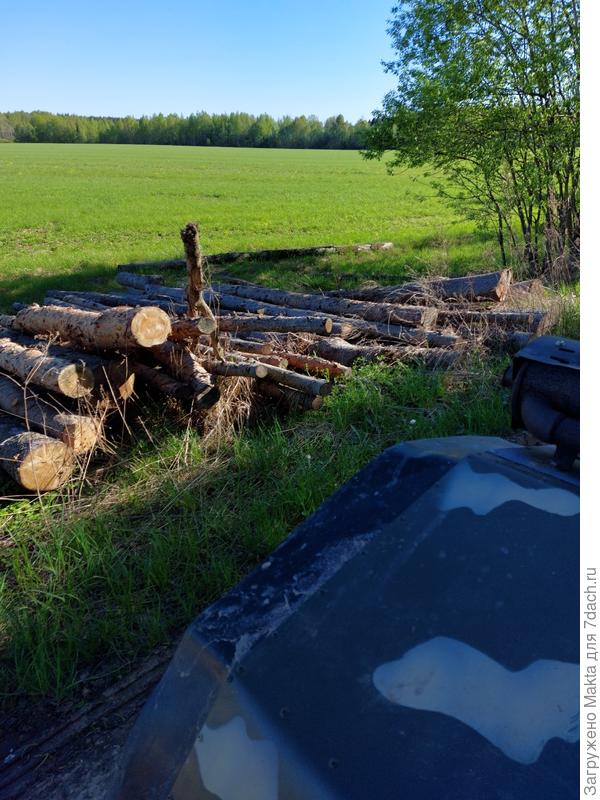 По другую сторону дороги такие же завалы. Фото делала на ходу с болотохода.