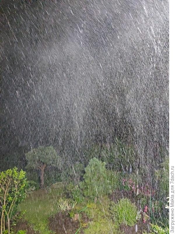 Вчерашний потоп с сильным ветром.