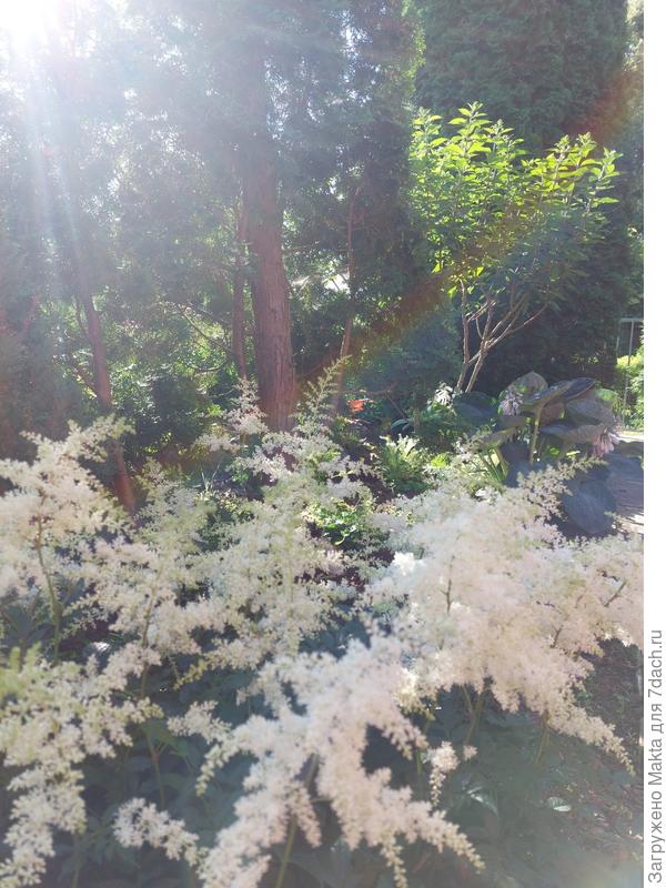 Жару пережили.