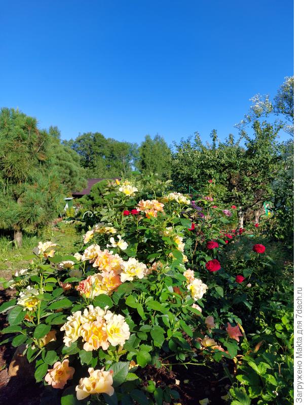 Сейчас пока тишь, греемся после ночных +8