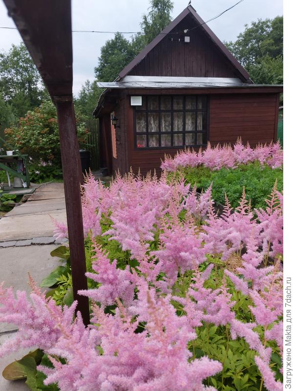 Фото утром делала, слева стойка от перил, я просто пригнулась. Это спуск к бане.