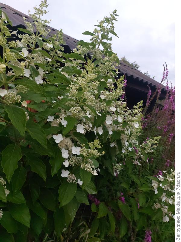 Киушу после длительного дождя сегодня.