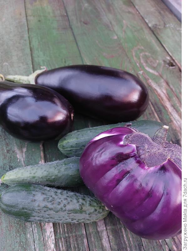 Вчера перед похолоданием