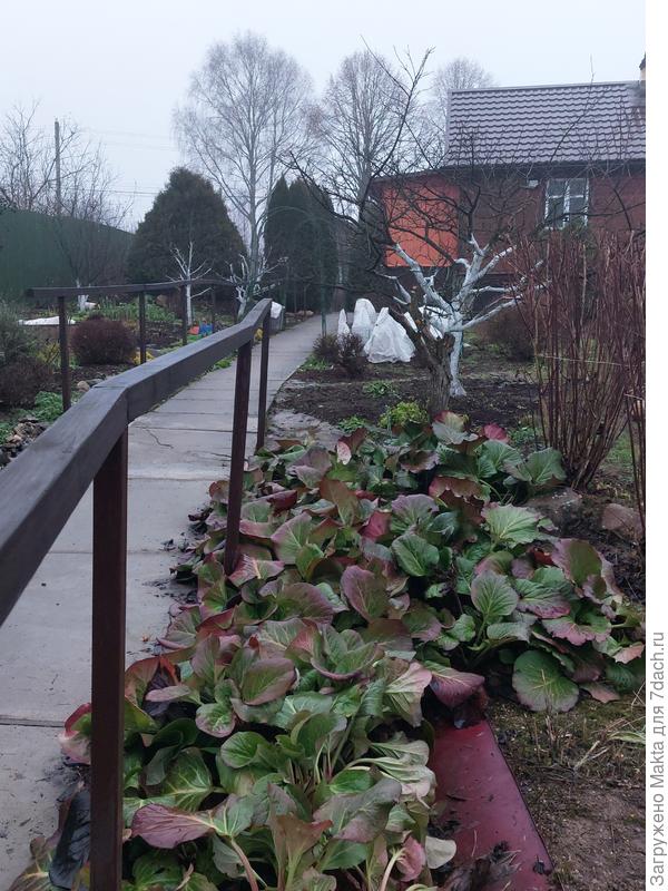 Очень рада, что пригодится:)