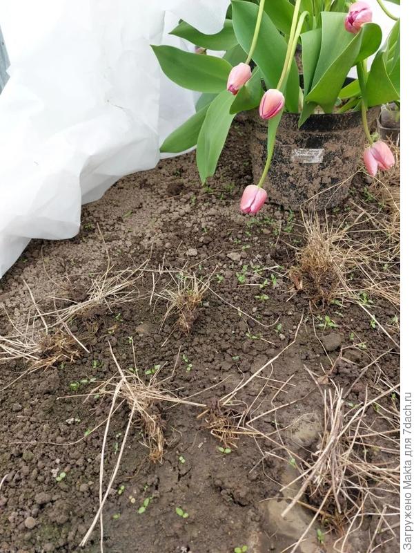 Кто живет здесь?