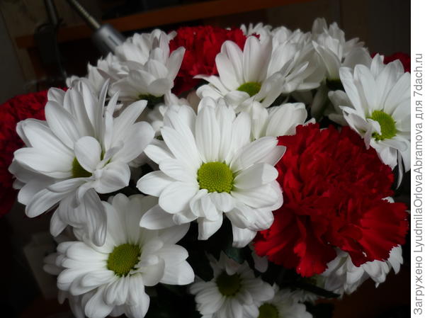 Прекрасные цветы