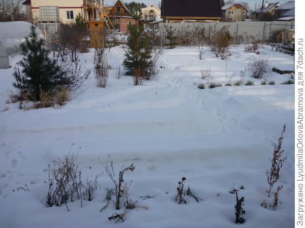 Зима наступила