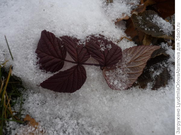 Осень, холод...