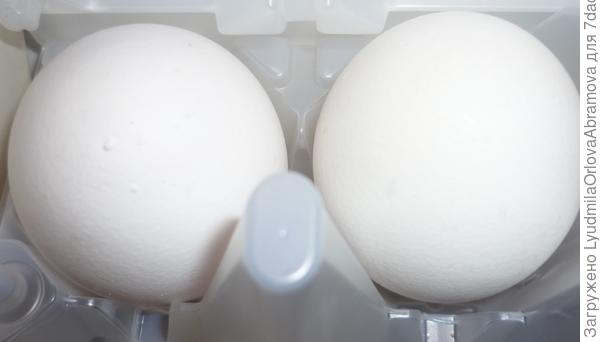 Яйцо и яичный желток