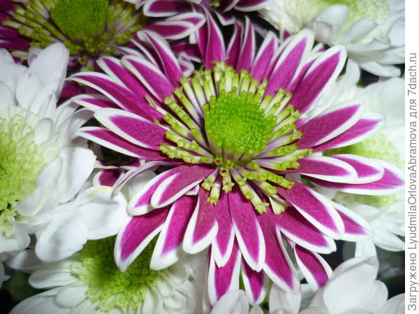 Поздравляю!!!