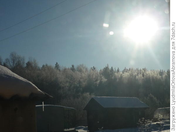 Февральский день на даче