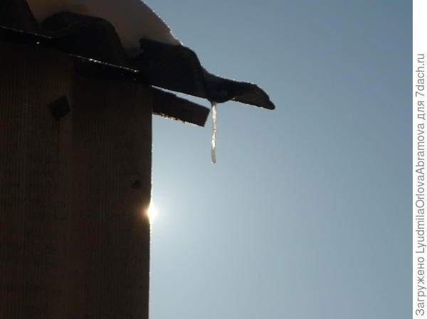 Пригрело февральское солнышко