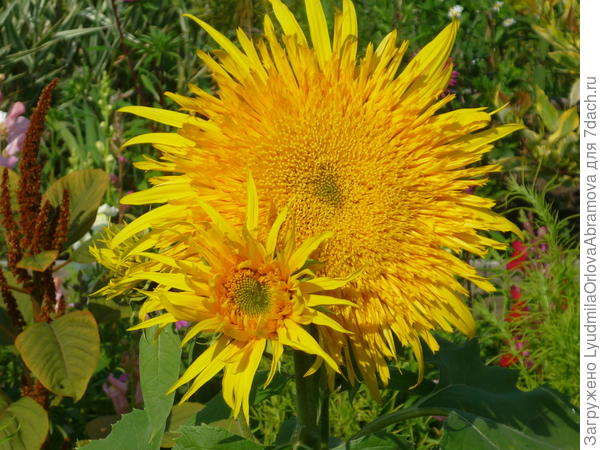 С наступающим!!!