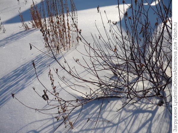 День безоблачный и снежный...