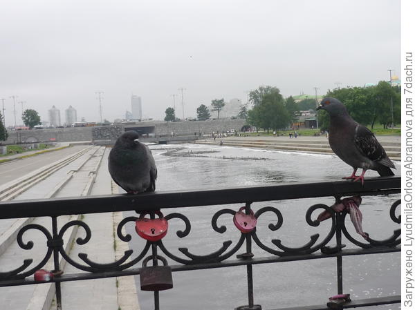 Плотинка городского пруда