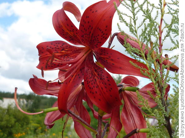 Поздравляю победителей!