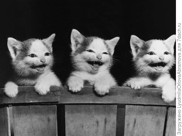 Поздравляю!