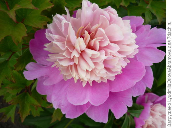 Поздравляю!