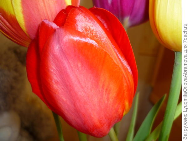 С Днем рождения!