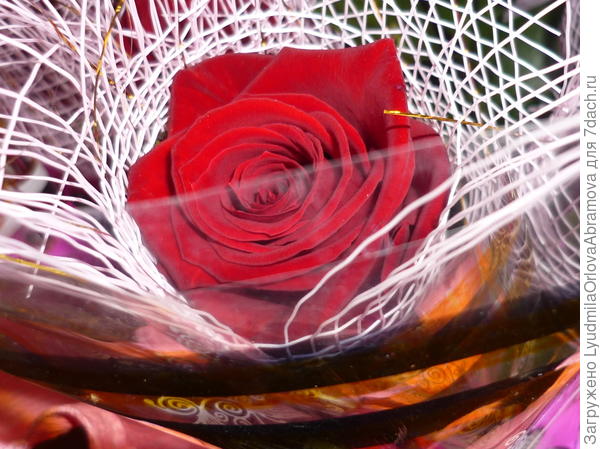 С Днем рождения!