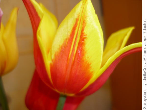 С днем рождения!