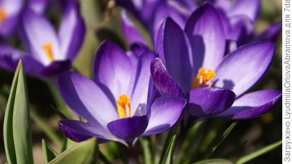 С годовщиной!