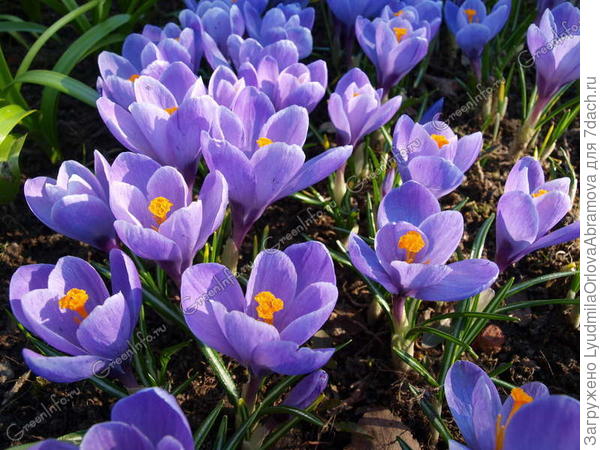 С Днем рождения!