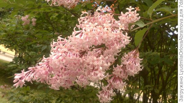 С Днем рождения!!!