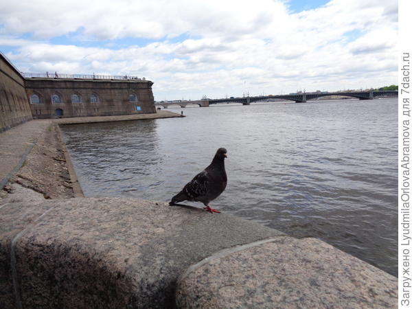 Петропавловская крепость