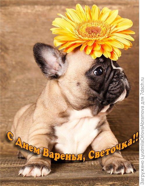 Побольше тебе чудесностей, сюрпризностей, интересностей, почаще всего приятного и СЧАСТЬЯ невероятного!