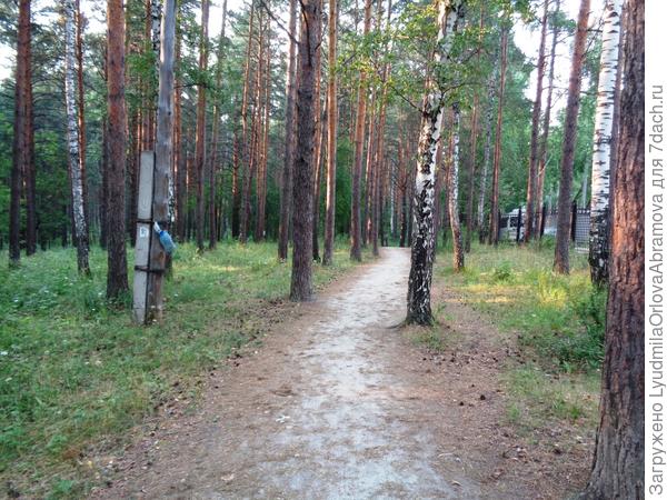 пешеходная тропа