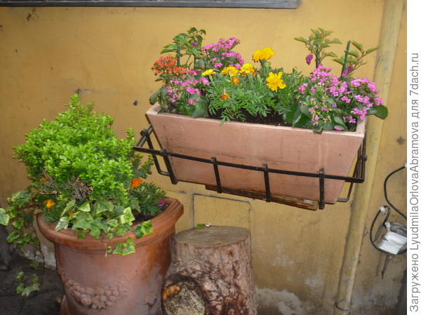 На улице Рима.