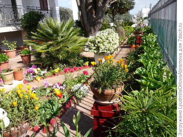 Или небольшой дворик в итальянском Альберобелло.