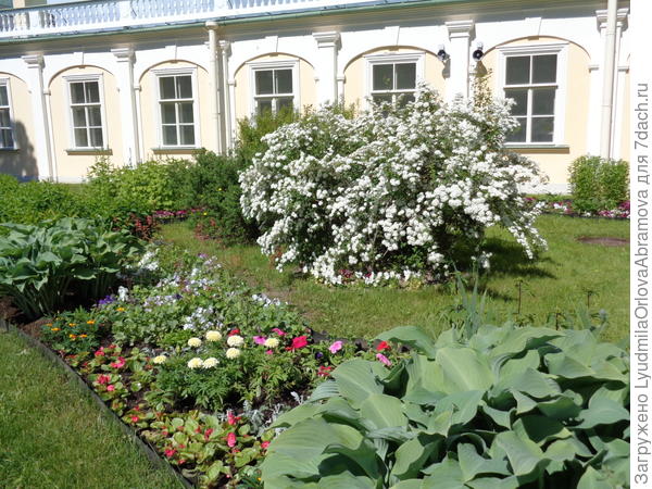 цветник