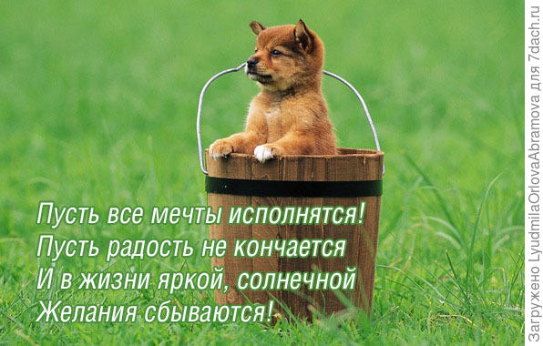 Картинки пусть исполнятся все мечты, днем рождения брат
