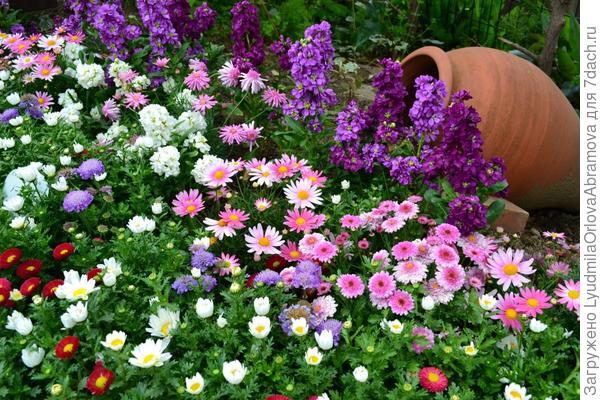 Чтобы Вас окружало море цветов!