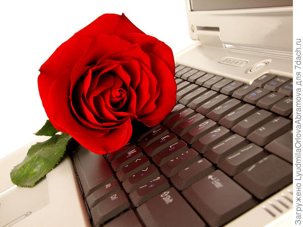 Дима, Денис, вам спасибо за наш удивительный, замечательный, самый лучший на свете сайт!!!