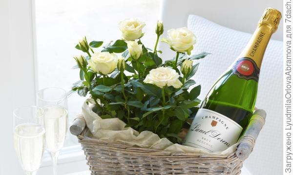 Исполнения желаний!!! Желательно ВСЕХ!!!