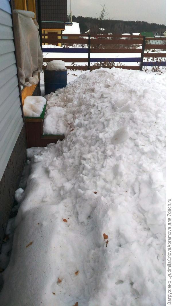 Да еще с крыши нападал, не пройти, завалило все подходы к дому. Пробиралась к сараю за лопатой, проваливаясь по колено...  А в теплице земля не мерзлая, рассыпчатая! Все же солнышко днем пригревает. И снег сам сполз и с теплицы, и с крыши дома.