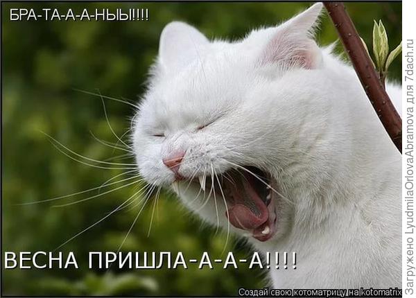 Ну конечно, еще не такая зеленая...