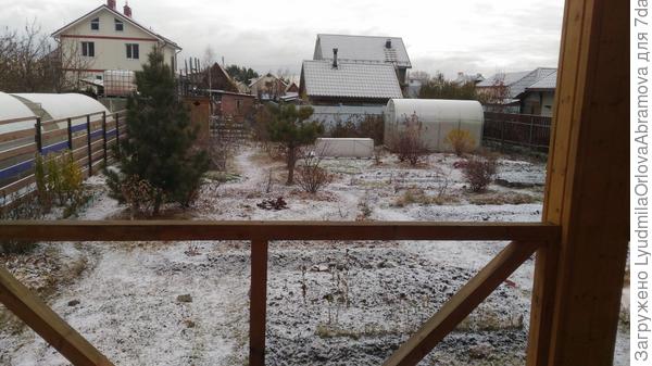 Выглянула утром в окошко - снежок лежит... Вчера ещё не было, хоть и порхали весь день редкие снежинки. На термометре -5.