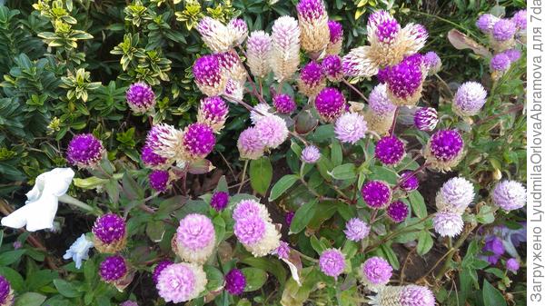 И немного лета!