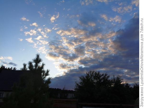 Вечером в саду...