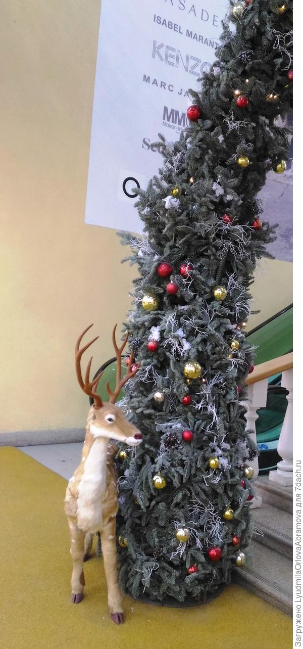 Там еще один, напротив тех.