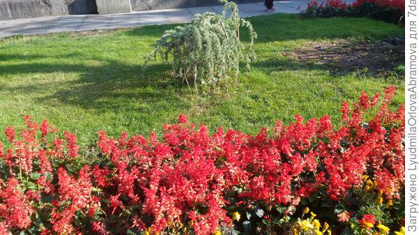 Кусочек лета - для тебя!!!