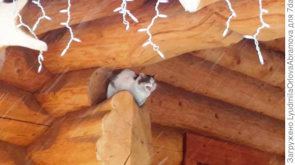 А сегодня с утра -17, метет метель...