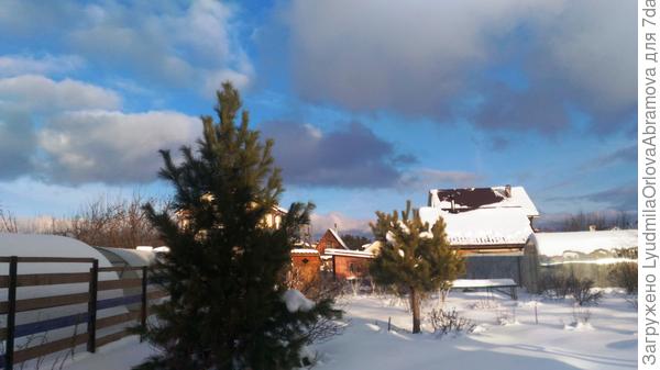 Весь сад в снегу...