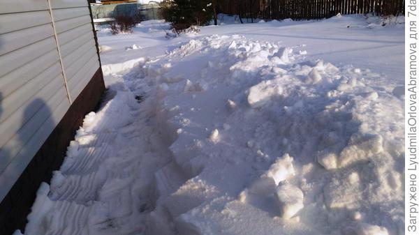 Снега навалило!